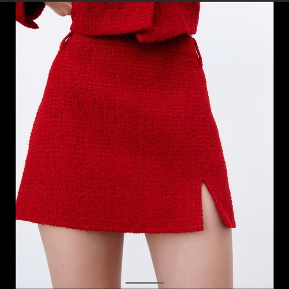 Zara Textured Mini Skirt - Picture 4 of 16